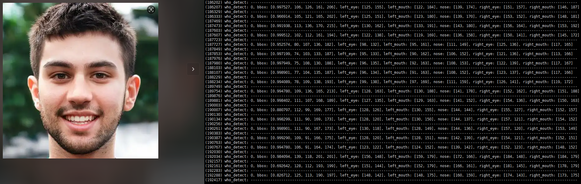 Static Illustration of Face Detection